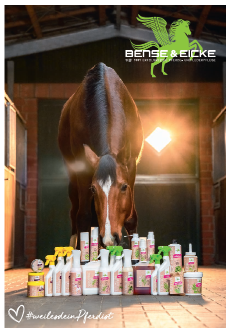 Bense Bense & Eicke Booklet ist fertig!